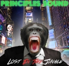 Principles Sound – Lost in the Jungle