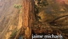 Jaime Michaels – If you fall