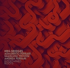 Nrg Bridges – Intertwined roots
